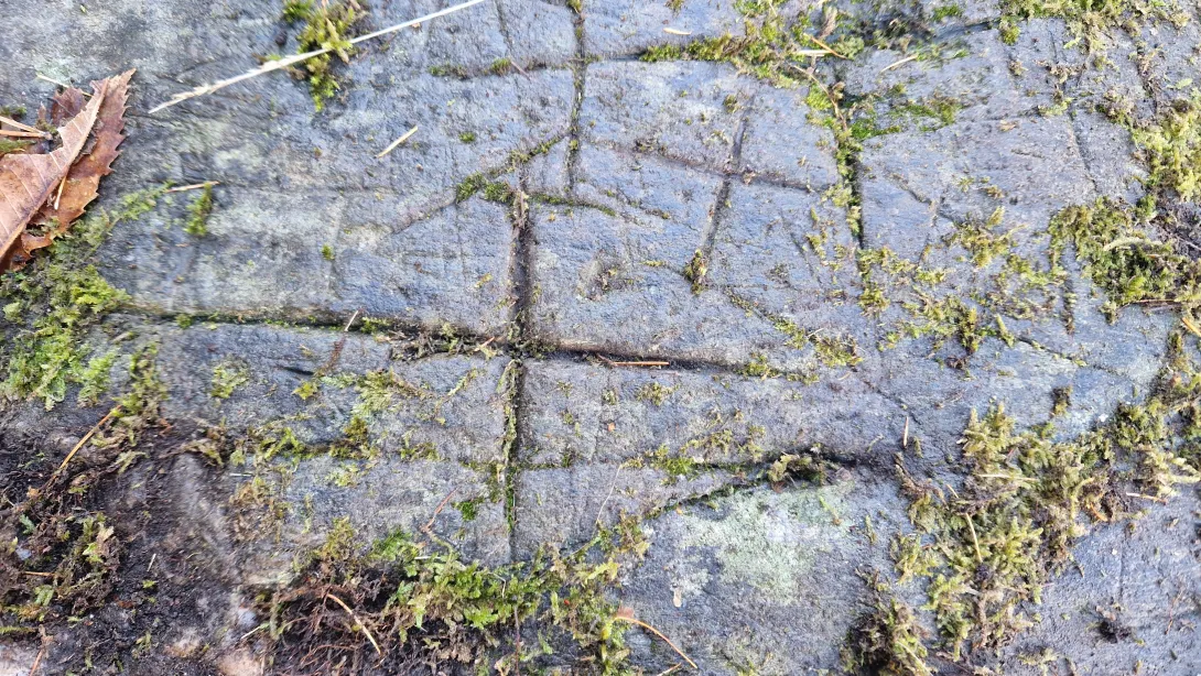 Roccia incisa in località Albareda a Ponte in Valtellina