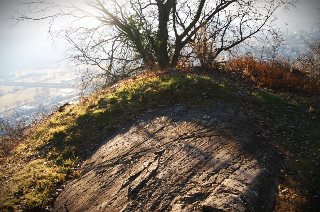 Roccia incisa in località Ca' Rossa a Montagna in Valtellina